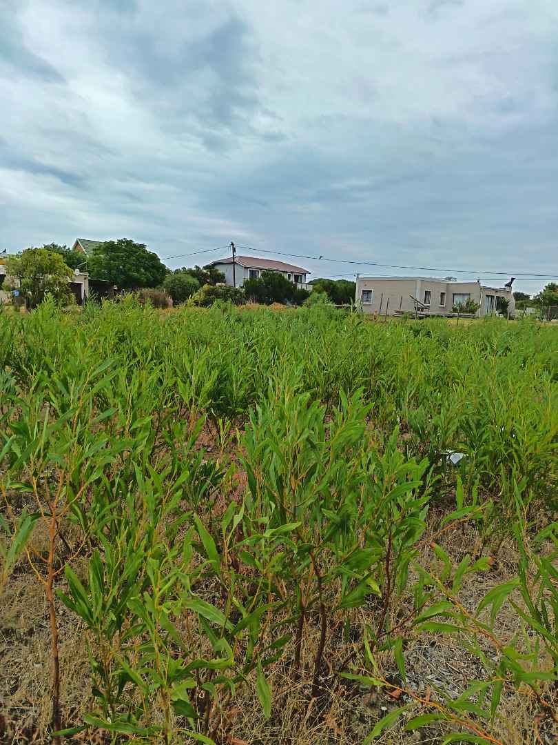 0 Bedroom Property for Sale in Fisherhaven Western Cape